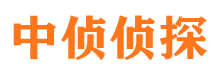 平坝侦探公司